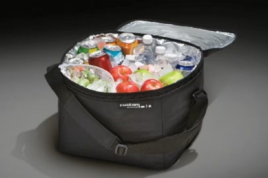 Cargo Organizer - Soft-Sided Cooler Bag with Adjustable Carrying Strap and Ford Logo