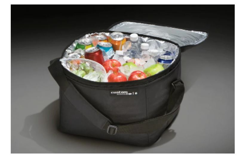 Cargo Organzier - Soft-Sided Cooler Bag with Adjustable Carrying Strap and Ford Logo